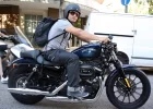 Harley 5.webp