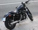 Harley 1.webp