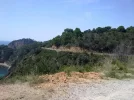 14082011180.webp