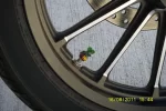 RATONA6.webp