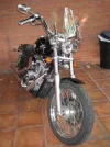 delantera.webp