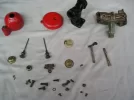 previa scout 002.webp