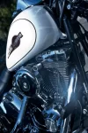igp18606.webp