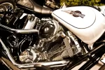 igp18617.webp