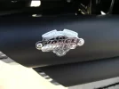 DSCF0519.webp