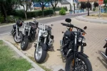 DSC_0467.webp