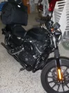 CIMG5881.webp