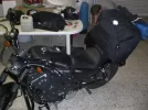CIMG5883.webp