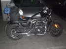 CIMG6128.webp
