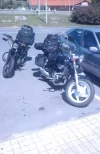 IMAG0333.webp