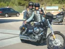 DSC07398.webp
