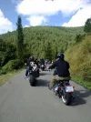 03092011212(b).webp