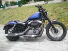nightster.webp