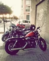 06.webp