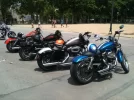harley days.webp