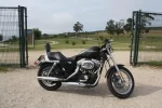 sportster.webp