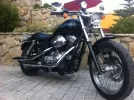 dyna 1.webp