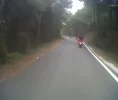 IMG00790-20110917-1317.webp