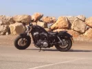harley 008.webp