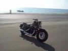 harley 009.webp