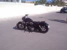 harley 010.webp