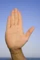 mano.webp