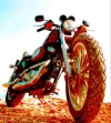 moto.webp