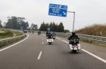 P9240236.webp