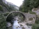 roncal 2.webp