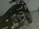 ha 005.webp
