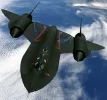 blackbird.webp