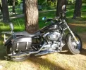 1200 Custom.webp