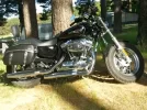 1200 xl (2).webp