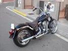 Softail 002.webp