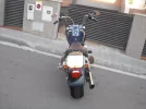 Softail 004.webp
