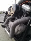 07 (Large).webp