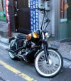 SAM_0034.webp
