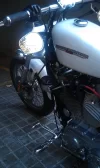 IMAG0045.webp