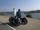 239.webp
