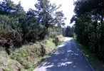 Escamplero.webp
