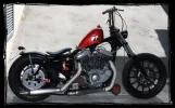 XL-Simone-Bechelli.webp