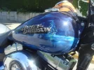 DSC05117.webp