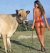 pampita_con_vaca.webp
