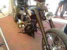 DSC07549.webp