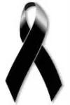 lazo.webp