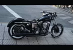 hari05.webp