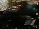 la foto 1.webp