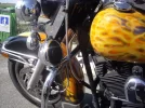 imgp4870.webp