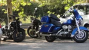 DSC02250.webp