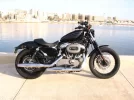 17245d1229907962-nightster-2008-mystery-img_6243.webp